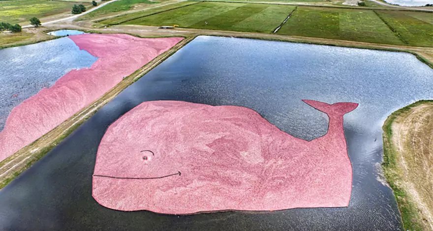 Ballena de arándano rojo y barco de cerveza: lea cómo los eventos publicitarios influyen en la promoción del delirio