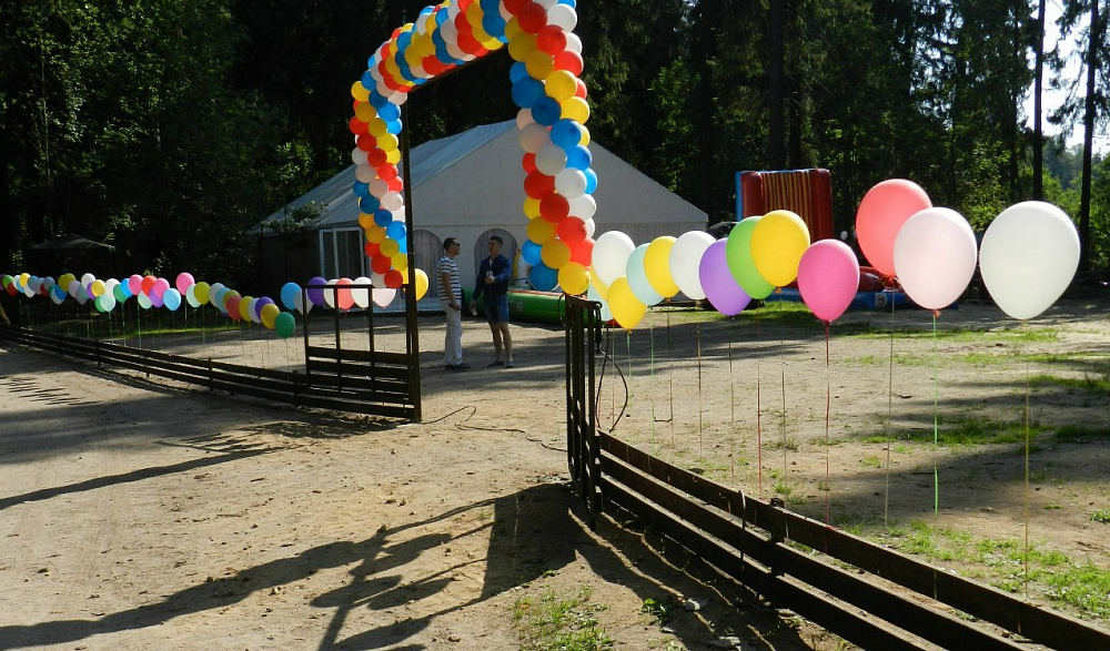 Forest Camp — photo 1